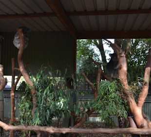 Feather Dale Wildlife Park