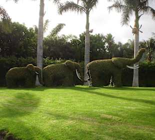 Neben dem Eingang Baumkunstwerk