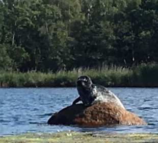 We are being watched ...