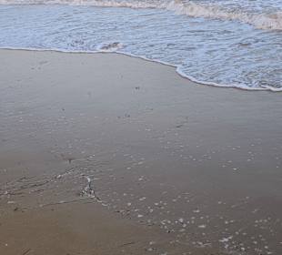 Das war wieder ein Tag