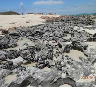 Strand im Parque Natural Corralejo