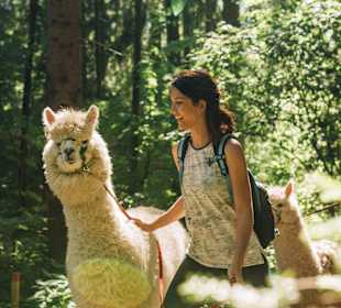 Wandern Stumm