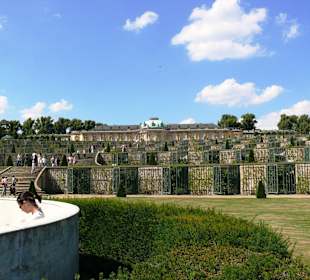 Pałac Sanssouci - winnica
