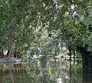 Spaziergang durch die sommerlichen Graftanlagen