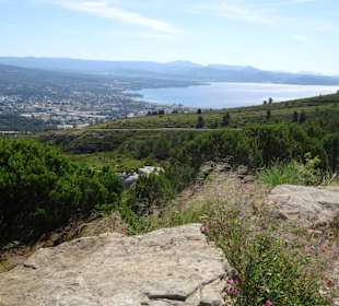 Ausblick von der Route des Crêtes