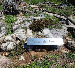 Im Alpenblumengarten