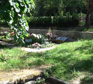 Friedhof Unterjesingen