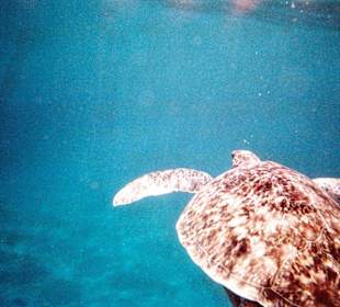 Ein Traum,der nicht zum anfassen ist