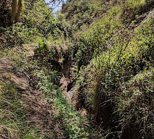 Nah zum Devil's Shower