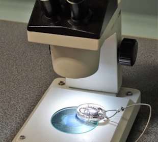 Im Biolabor des "Haus der Natur"