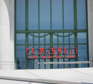 Palmenhaus/Gewächshaus im rechten Flügel 