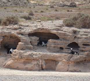 Nordtour zum Leuchtturm 2013