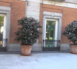 Museo Thyssen-Bornemisza