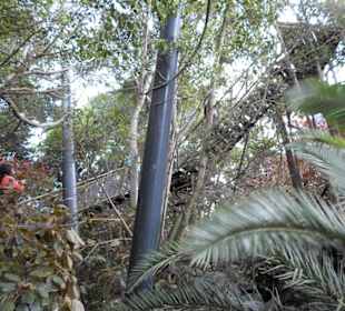 Klettern durch die Freiflugzone