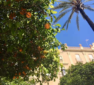 Parque Genovés