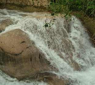Dunn's River Falls/Ocho Rios/Jamaika