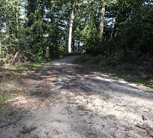 Der Bussen - heiliger Berg Oberschwabens Offingen