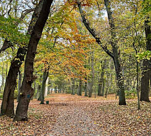 Stadtrundgang Kolobrzeg/Kolberg