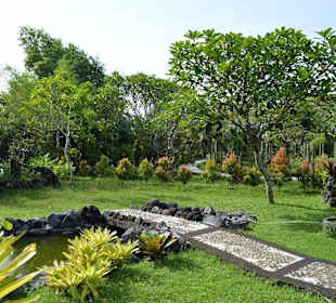 Orchideen Garten 