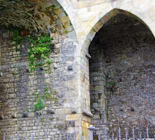 Stadt Erfurt im Bild Sept.2010