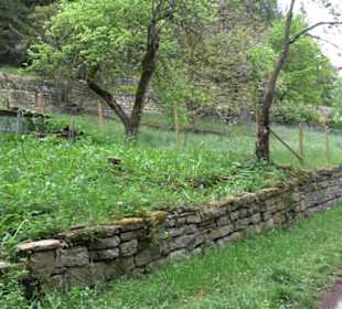 Naturinfopfad Weggental