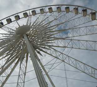 Brighton Whell