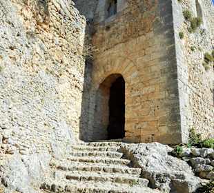 Tor