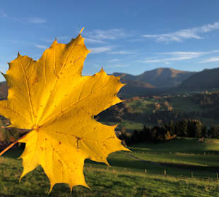 Wandern Oberstaufen