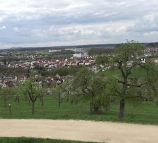 Schlossgarten Ellwangen