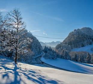 Burgenwelt Ehrenberg
