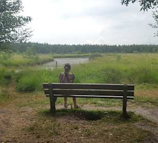 Wandern Hoogersmilde