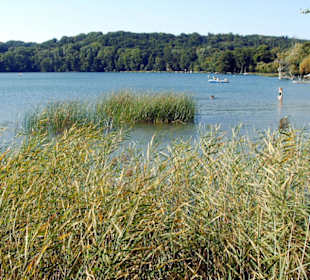Beim Strandbad am Schermützelsee
