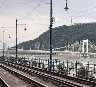 Elisabethbrücke in Budapest