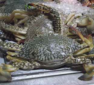 Fotografiert im Top Spot gegenüber dem Hotel Grand Margherit