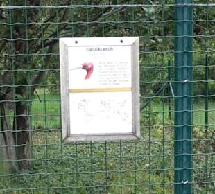 Tierpark