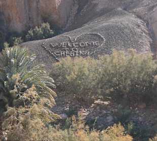Chebika Oase