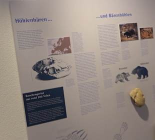 Höhlenkundliches Museum Laichingen