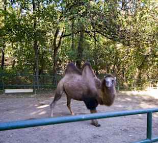 Thüringer Zoopark Erfurt 
