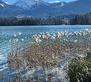 Faaker See
