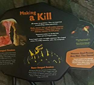 Singapur Zoo