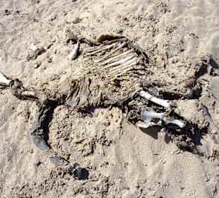 Wanderung zur Westküste