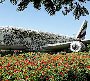 Miracle Garden
