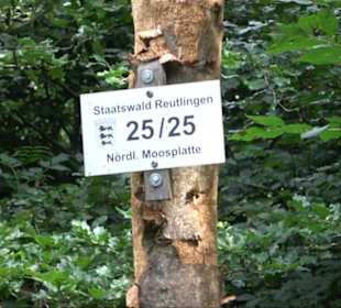 Sonnenaufgangs-Rundwanderung Rübgarten