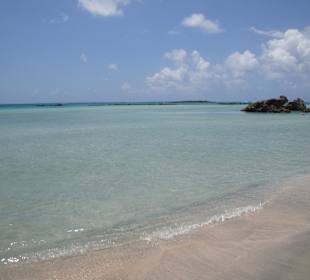 "Südsee ohne Palmen"