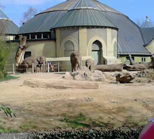Tierpark Hellabrunn in München