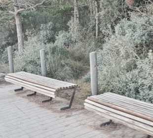 Zum Ausruhen und Verweilen 