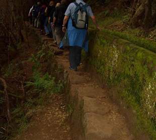 An einer Levada entlang