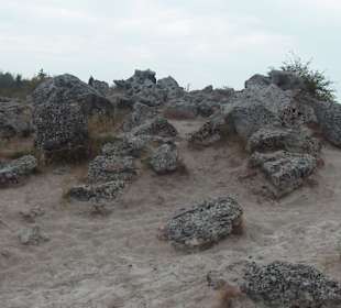Steinwald