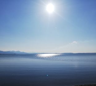 Chiemsee