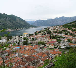 Blick auf die Altstadt von Kotor